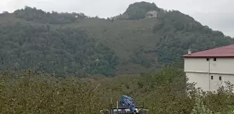 Samsun'da Kamyonet Fındık Bahçesine Yuvarlandı: 3 Yaralı