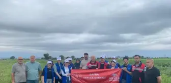 Samsun'da Gençler Karpuz Hasatında Gönüllü Oldu