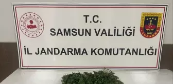 Samsun'da Uyuşturucu Operasyonu: 700 Gram Esrar Ele Geçirildi