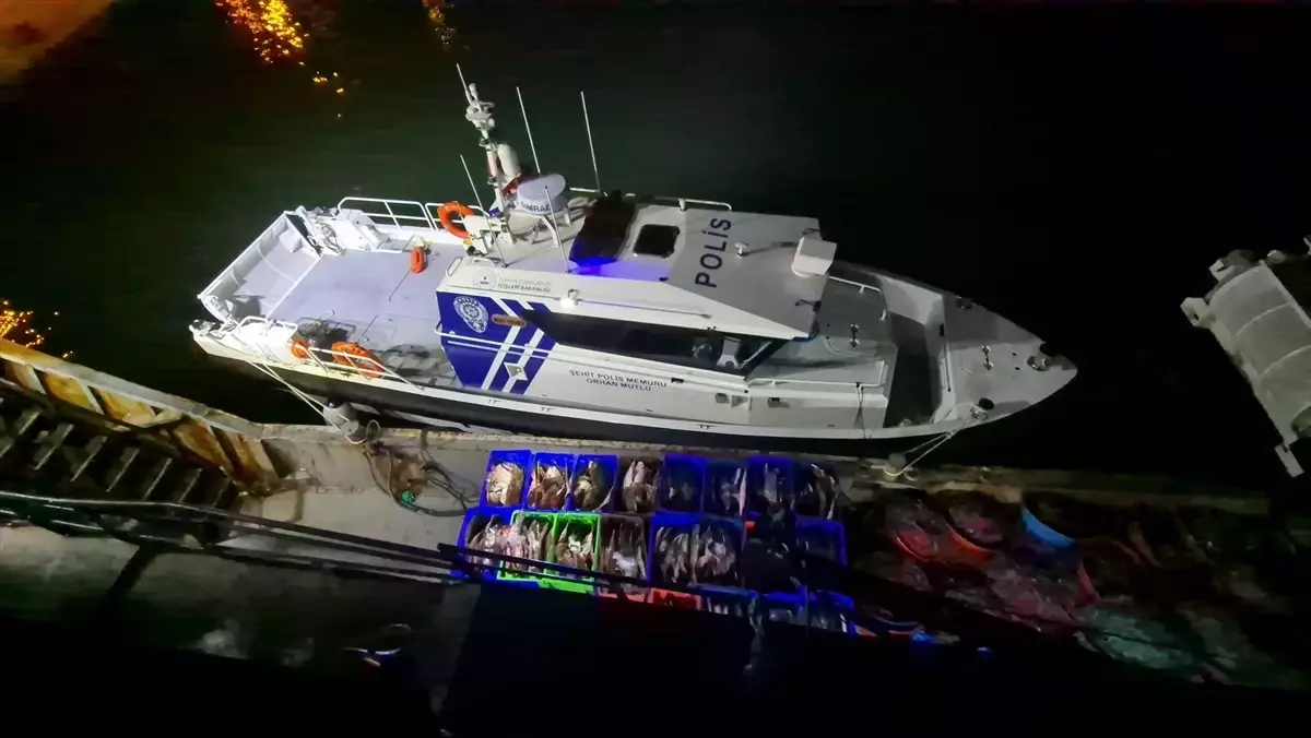 Samsun'da Kaçak Avlanan 6 Ton Kalkan Balığına El Konuldu