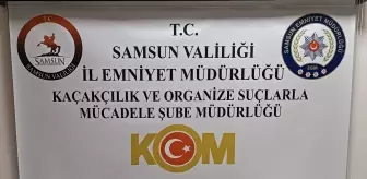 Samsun'da Kaçakçılık Operasyonu: Dört Zanlı Gözaltında