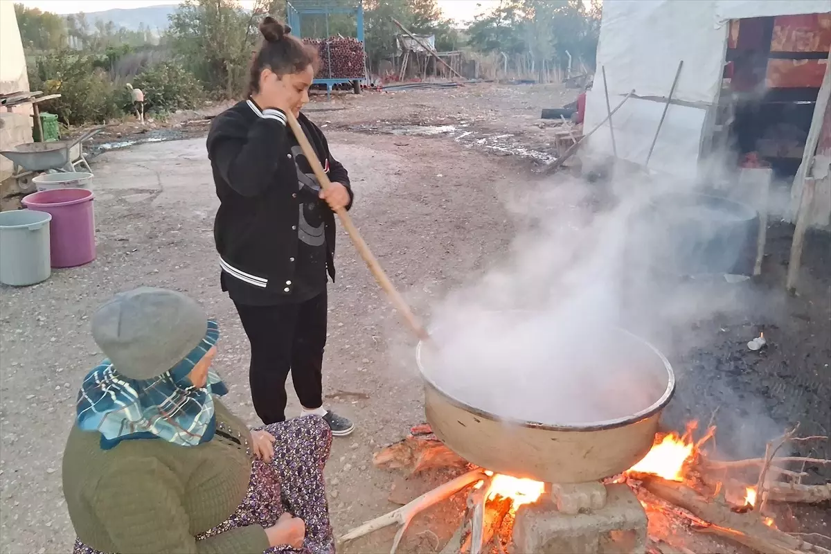 Havza'nın Kadınları Kış İçin Kuşburnu Marmeladı Yapıyor