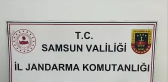 Samsun Kavak'ta Uyuşturucu Operasyonu: 608 Hap Ele Geçirildi