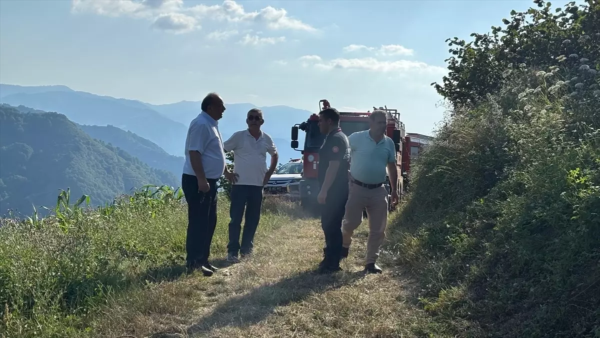 Samsun Salıpazarı'nda Orman Yangını Kontrol Altına Alındı