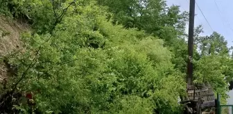 Samsun'da Heyelan Sebebiyle Mahalle Yolu Kapandı