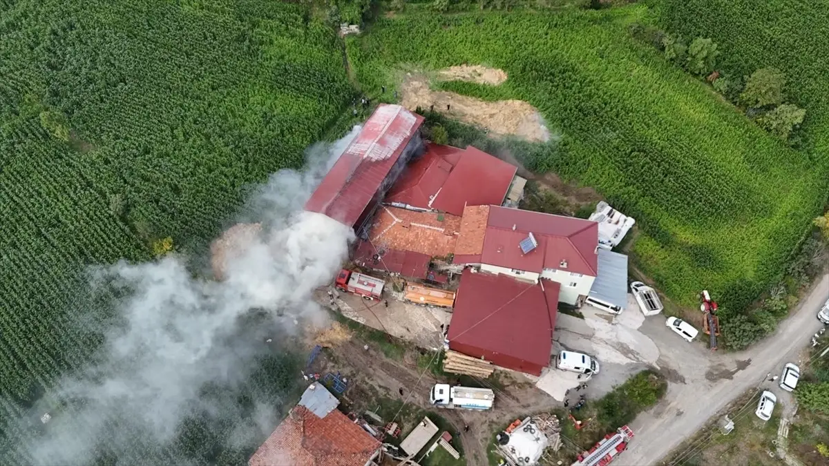 Samsun Alaçam'da Samanlık Yangını Kontrol Altına Alındı
