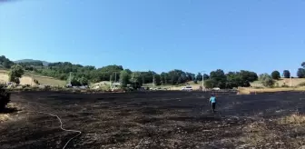 Samsun'un Atakum İlçesinde Tarım Arazisinde Yangın