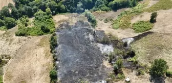 Samsun'da Tarlada Çıkan Yangın Kontrol Altına Alındı