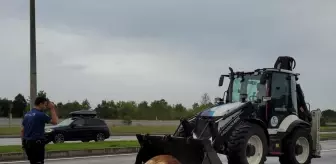 Samsun'da Zincirleme Trafik Kazasında 3 Yaralı ve 1 Büyükbaş Hayvan Telefi
