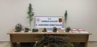 Samsun'da Uyuşturucu Operasyonu: 1 Gözaltı
