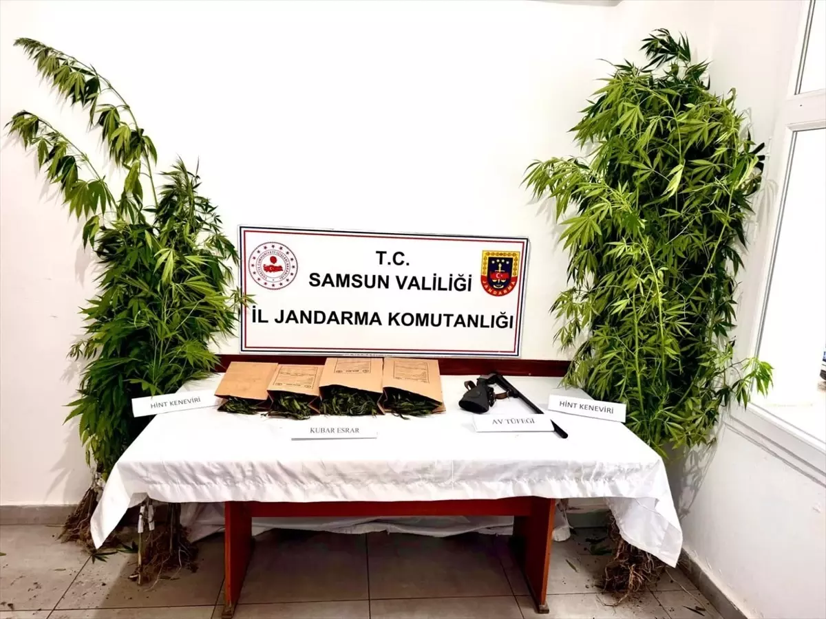 Samsun Ayvacık'ta Uyuşturucu Operasyonu: 1 Gözaltı
