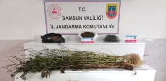 Samsun Bafra'da Uyuşturucu Operasyonu: 3 Gözaltı