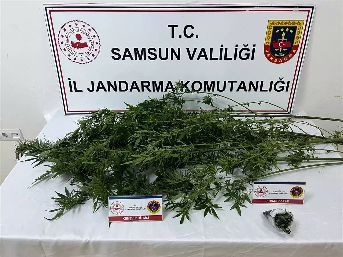 Samsun'da Uyuşturucu Operasyonu: 3 Gözaltı