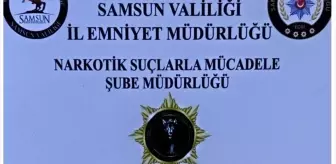 Samsun'da Uyuşturucu Operasyonu: 7 Gözaltı