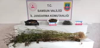 Bafra'da Uyuşturucu Operasyonu: 2 Şüpheli Tutuklandı