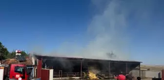 Sandıklı'da Samanlıkta Yangın Çıktı