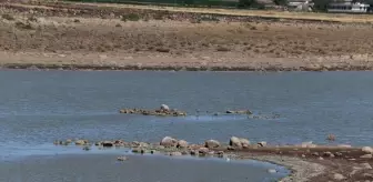Sulutepe Göleti Kuruma Tehlikesiyle Karşı Karşıya