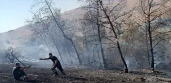 Şanlıurfa'da Orman Yangını Kontrol Altına Alındı