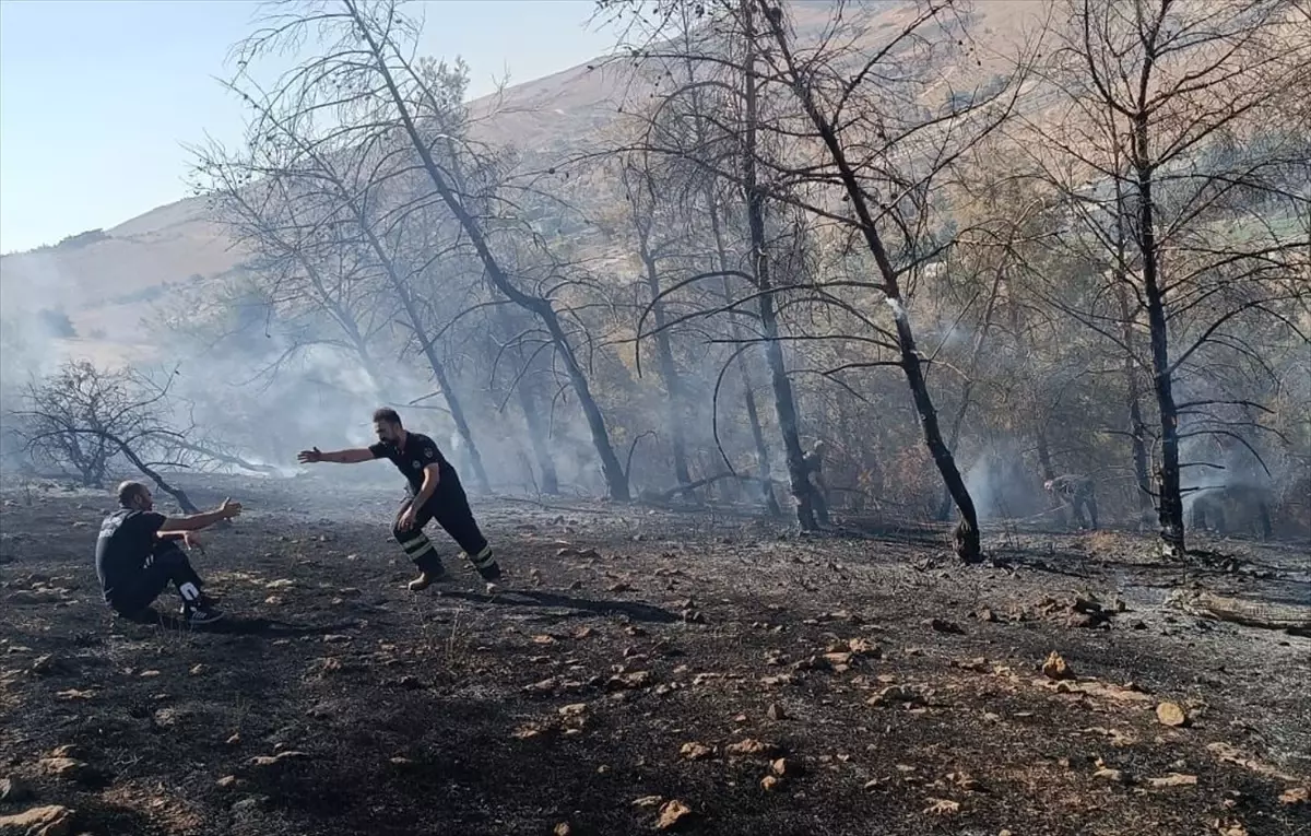Şanlıurfa'da Orman Yangını Kontrol Altına Alındı