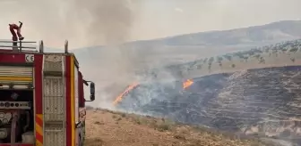Şanlıurfa'da Çıkan Örtü Yangını Kontrol Altına Alındı