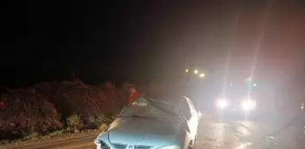 Siverek'te Devrilen Otomobilin Sürücüsü Yaralandı