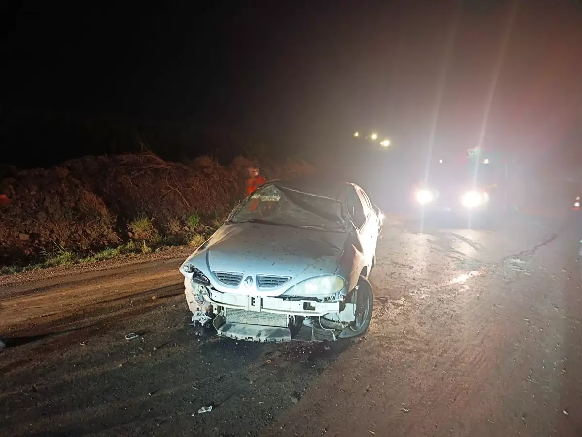 Siverek'te Devrilen Otomobilin Sürücüsü Yaralandı