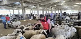 Şanlıurfa'da Kurban Bayramı Denetimi