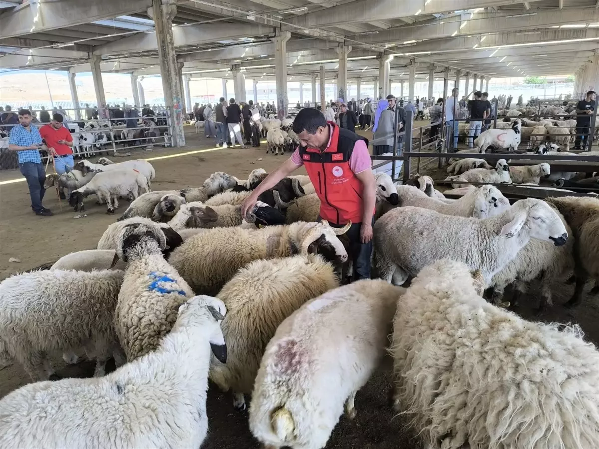 Şanlıurfa'da Kurban Bayramı Denetimi