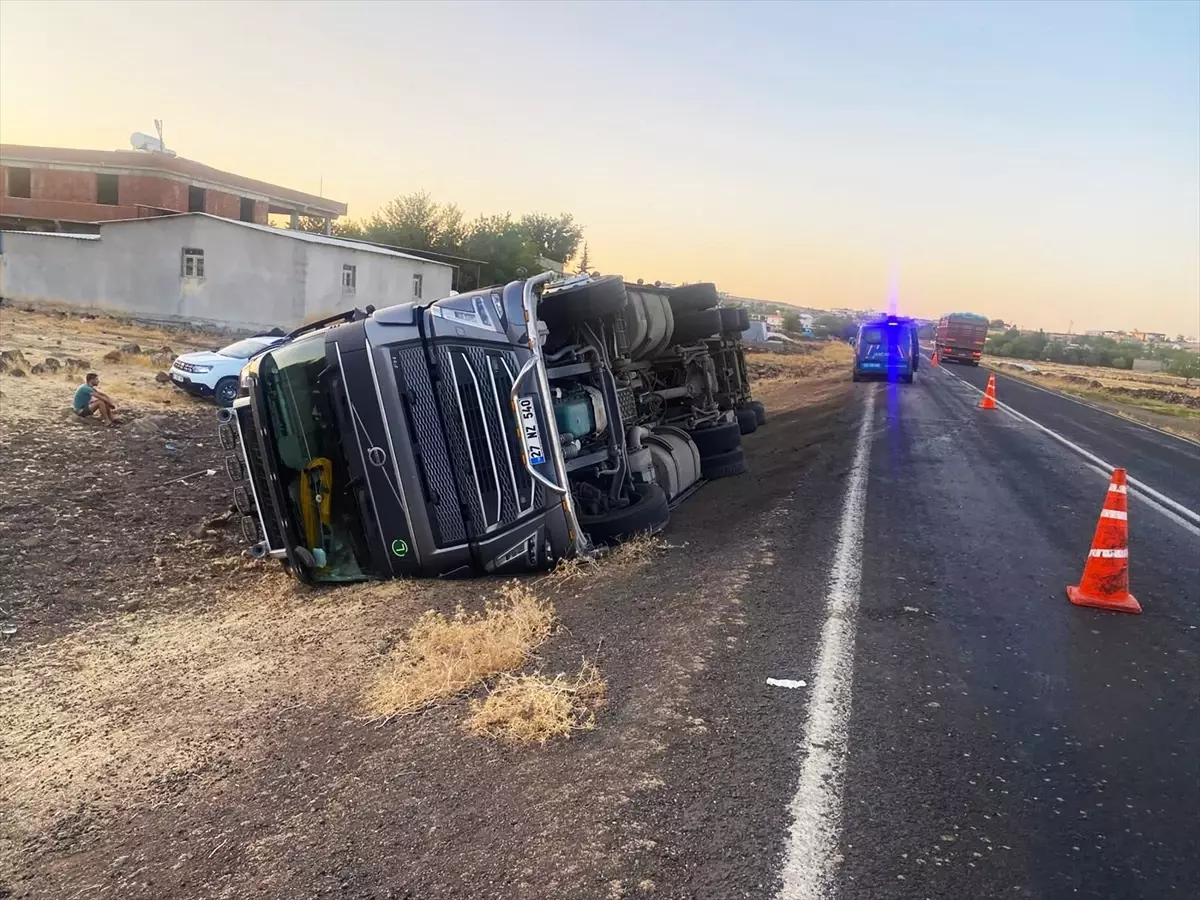 Şanlıurfa'da Hayvan Yüklü Tırın Devrilmesi: 2 Yaralı, 5 Hayvan Telef