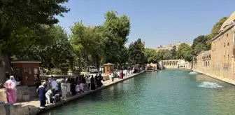 Şanlıurfa'da Sıcaklık 47 Dereceyi Buldu