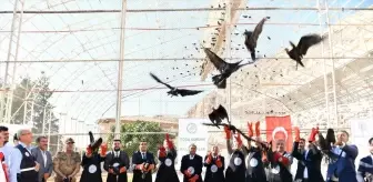 Kelaynakların Doğaya Salınması: 45 Kuş Göç İçin Bırakıldı