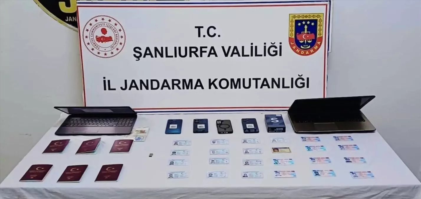 Suruç'ta Sahte Sürücü Belgesi Operasyonu: 4 Şüpheli Yakalandı