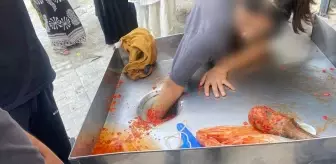 Şanlıurfa'da Salça Makinesine Kapanan Genç Kız Kurtarıldı
