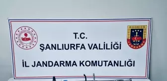 Şanlıurfa'da Silah Kaçakçılığı Operasyonu: 8 Gözaltı