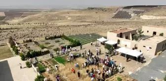 Slow Wheat Şanlıurfa 2025 Etkinliği Başladı