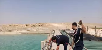 Sulama Kanalında Akıntıya Kapılan Köpek Kurtarıldı