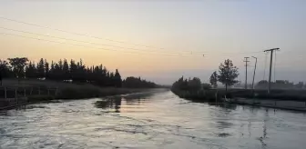 Şanlıurfa'da Sulama Kanalına Kapılan Kişi Kayboldu