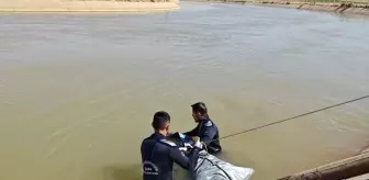 Şanlıurfa'da Sulama Kanalında Erkek Cesedi Bulundu