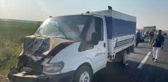 Şanlıurfa'da Tarım İşçilerini Taşıyan Kamyonet Çarpıştı: 11 Yaralı