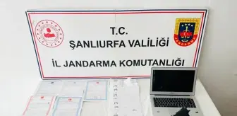 Şanlıurfa'da Tefecilik Operasyonu: 1 Gözaltı