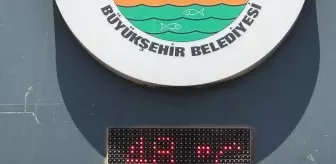 Afrika değil Türkiye! Termometreler 48 dereceyi gördü