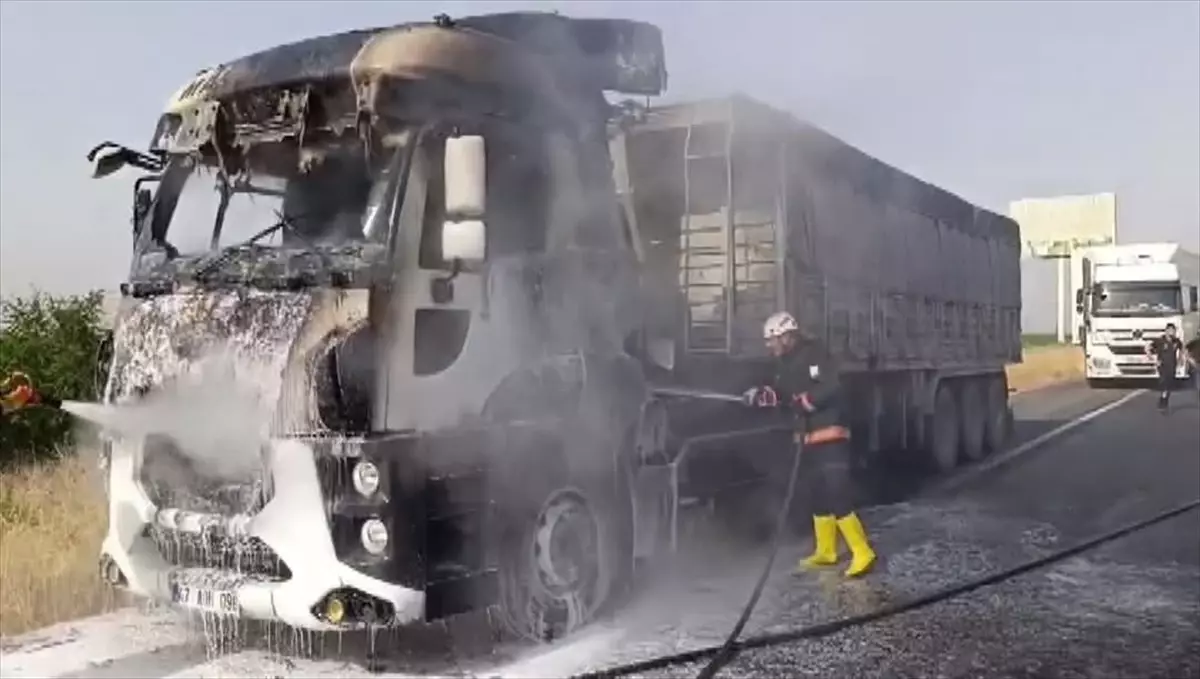 Şanlıurfa'da Seyir Halindeki Tırda Yangın Çıktı