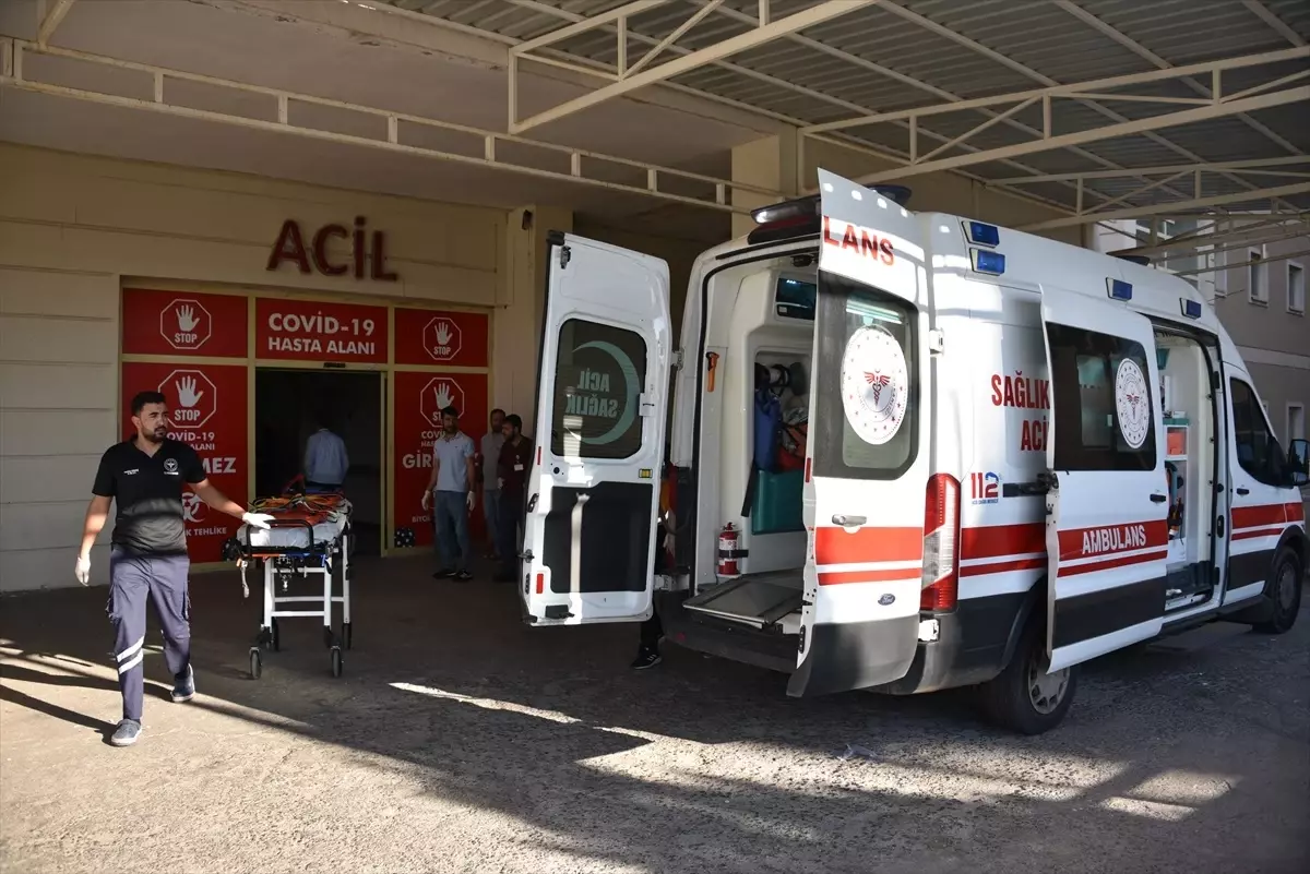 Şanlıurfa'da Tır Çarpan Yaşlı Kadın Hayatını Kaybetti