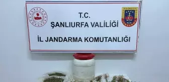 Suruç'ta Uyuşturucu Operasyonunda 1 Gözaltı