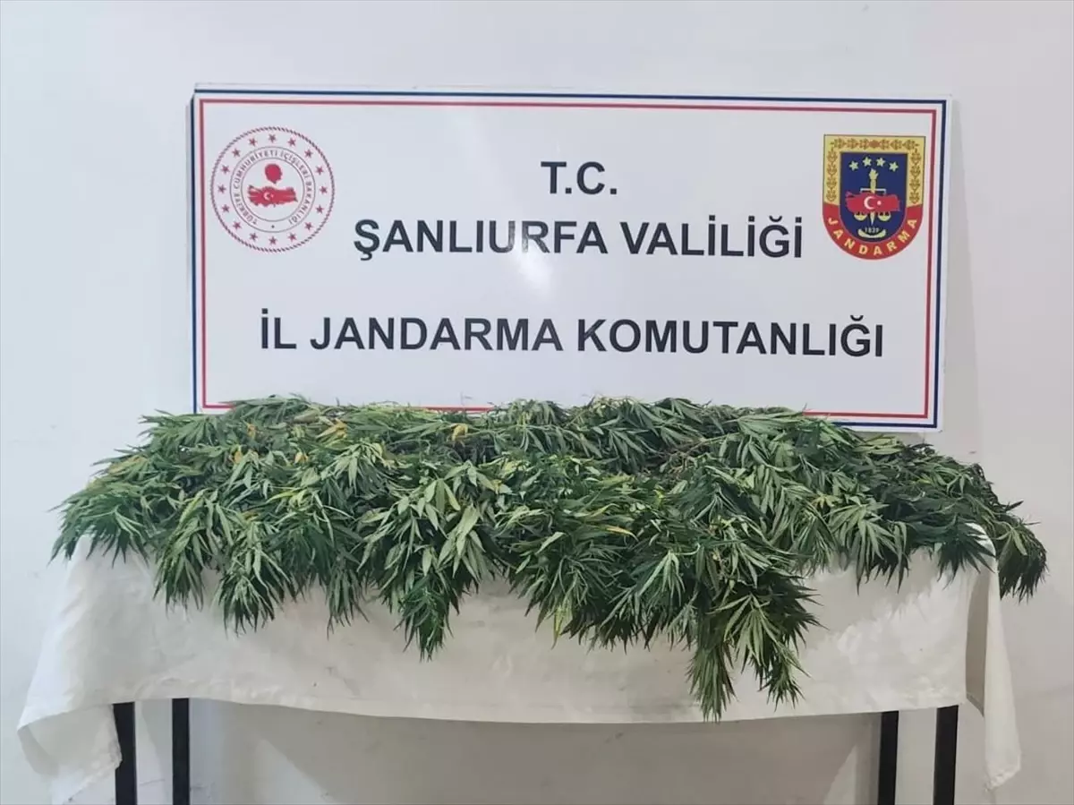 Şanlıurfa'da Uyuşturucu Operasyonu: 2 Gözaltı, 2 Bin 652 Hap Ele Geçirildi
