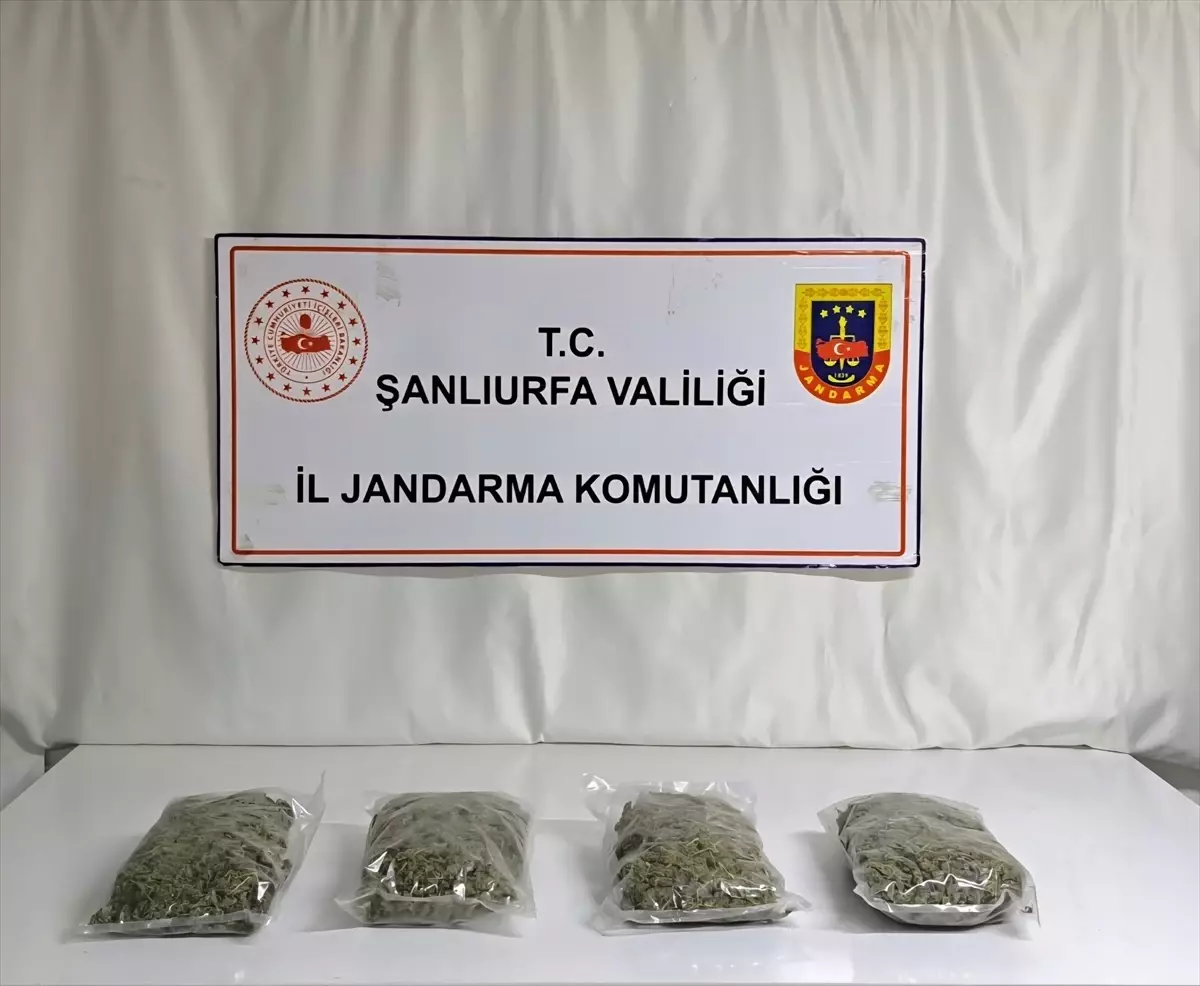 Şanlıurfa'da Uyuşturucu Operasyonu: 3 Zanlı Gözaltında