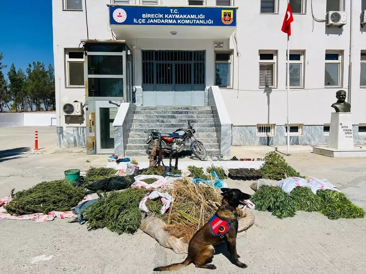 Birecik'te Uyuşturucu Operasyonu: 3 Gözaltı