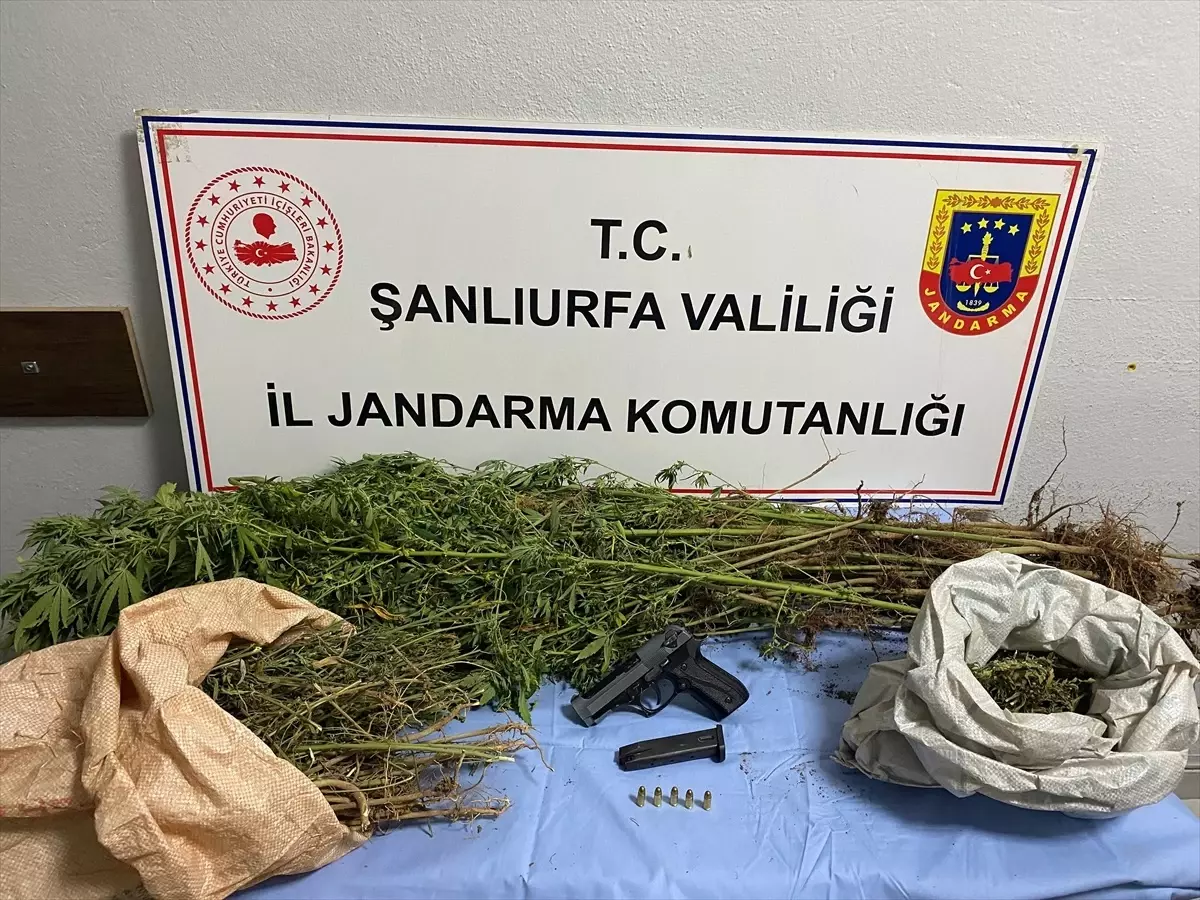 Şanlıurfa'da Uyuşturucu Operasyonunda 8 Gözaltı
