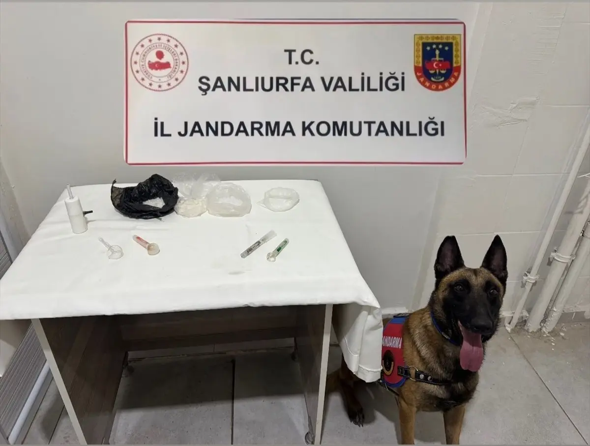 Şanlıurfa'da Uyuşturucu Operasyonu: 222 Gram Ele Geçirildi