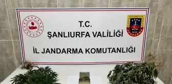 Şanlıurfa'da Uyuşturucu ve Silah Kaçakçılığı Operasyonu: 6 Gözaltı